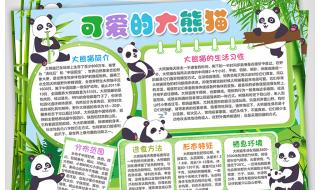 国宝大熊猫资料大全 关于大熊猫的资料